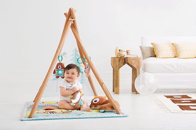 Skip Hop Camping Cubs Activity Gym