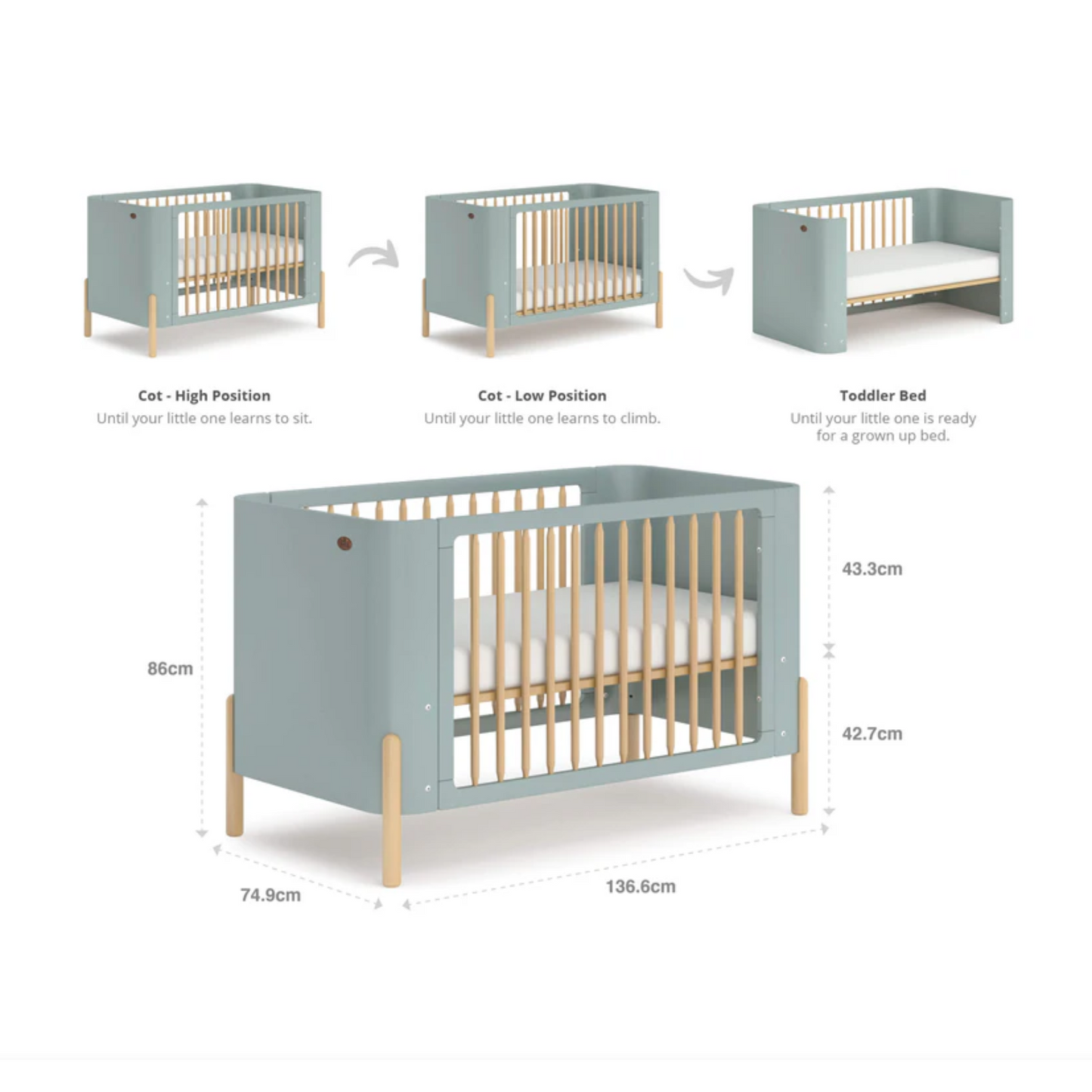 Boori - Nova Cot Bed - Blueberry and Beech
