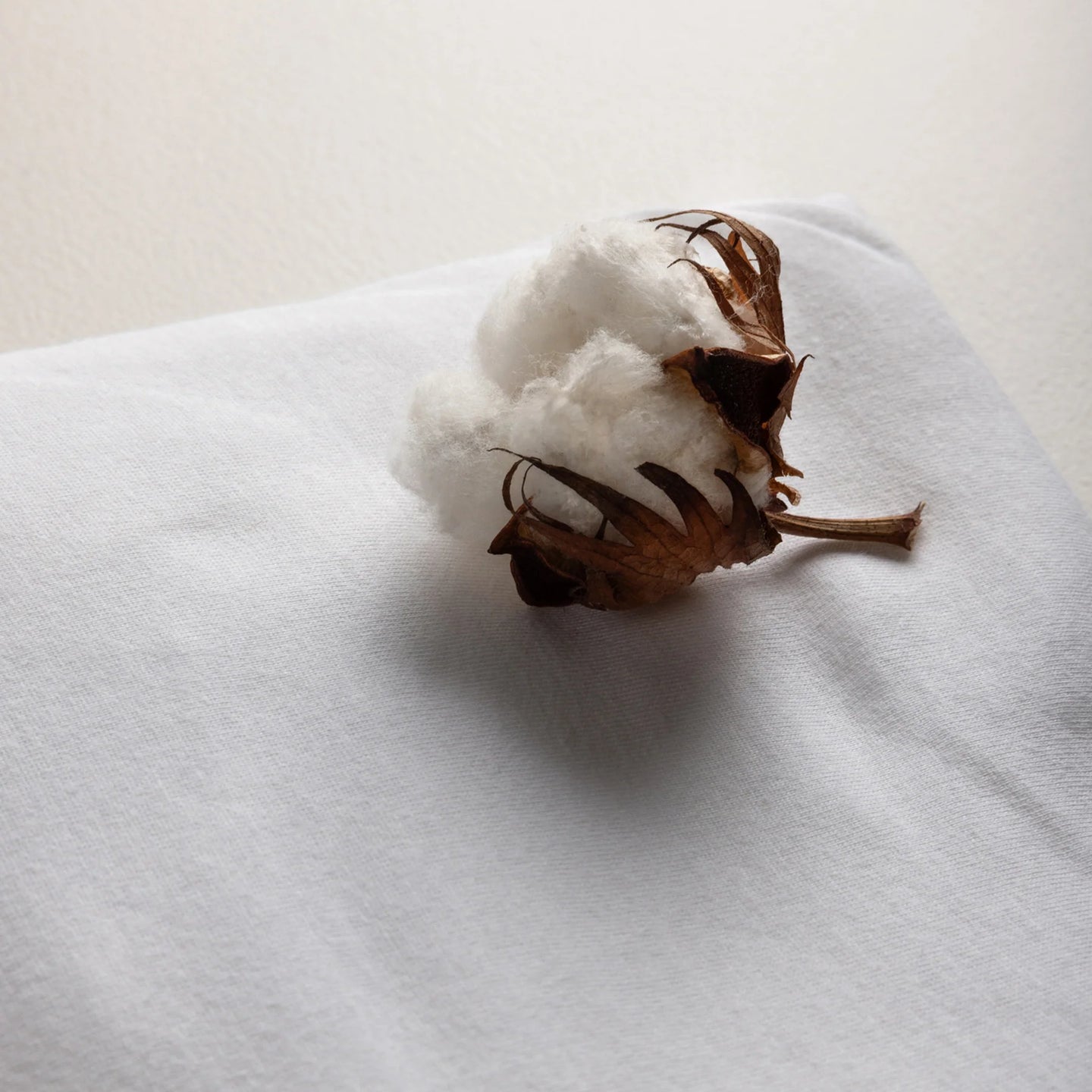 Sebra - Baby Jersey sheet - white