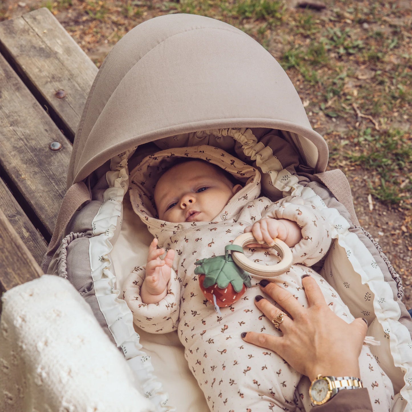 Sebra - 3-in-1 Baby Nest - Sophora Leaves