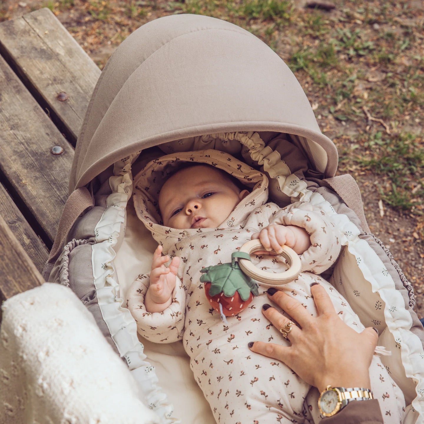 Sebra - 3-in-1 Baby Nest - Sophora Leaves