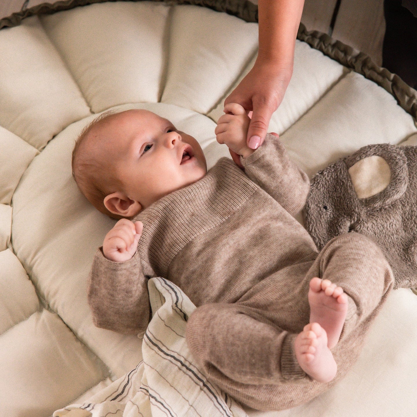 Sebra - 3-in-1 Baby Nest - Dark Olive