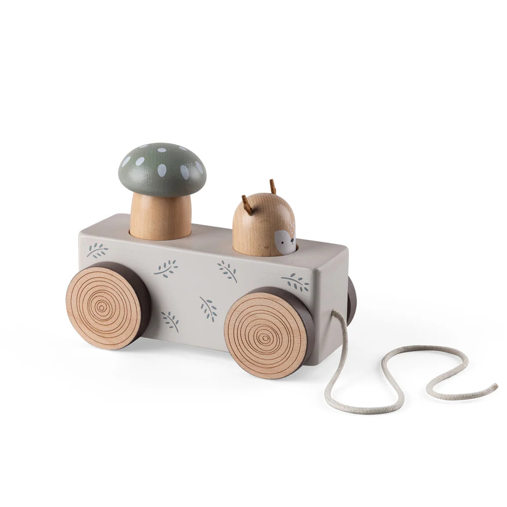 Sebra - Pop-up Pull-along toy - Wooden - Woodland