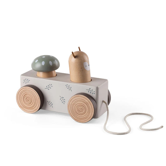 Sebra - Pop-up Pull-along toy - Wooden - Woodland