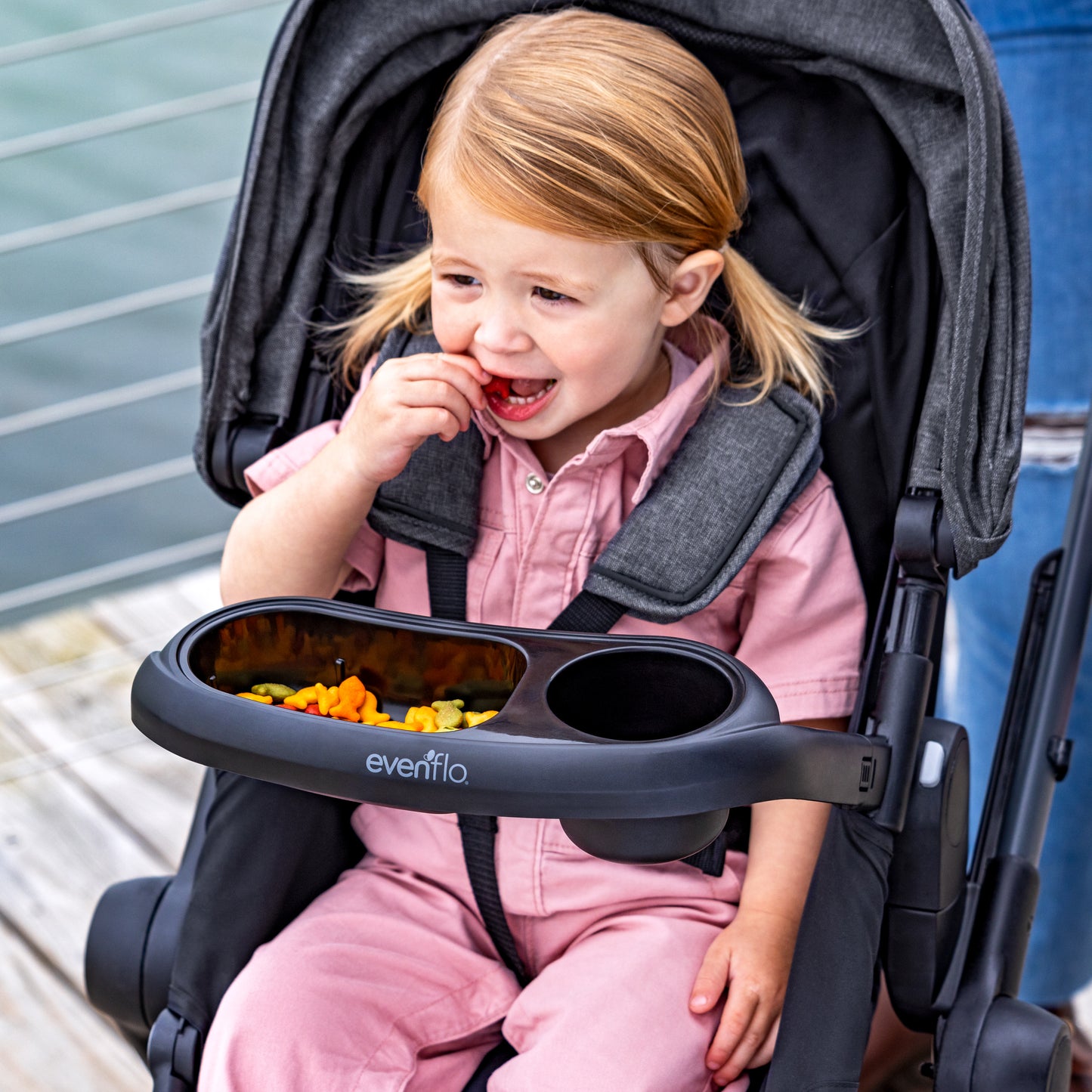 Evenflo - Pivot Xpand Modular Travel System with LiteMax Infant Car Seat - Ayrshire Black