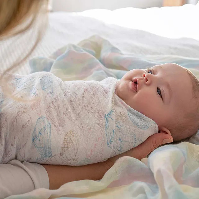 Aden + Anais - Large Swaddles - 2 Pack - Organic Cotton Muslin - Above the Clouds