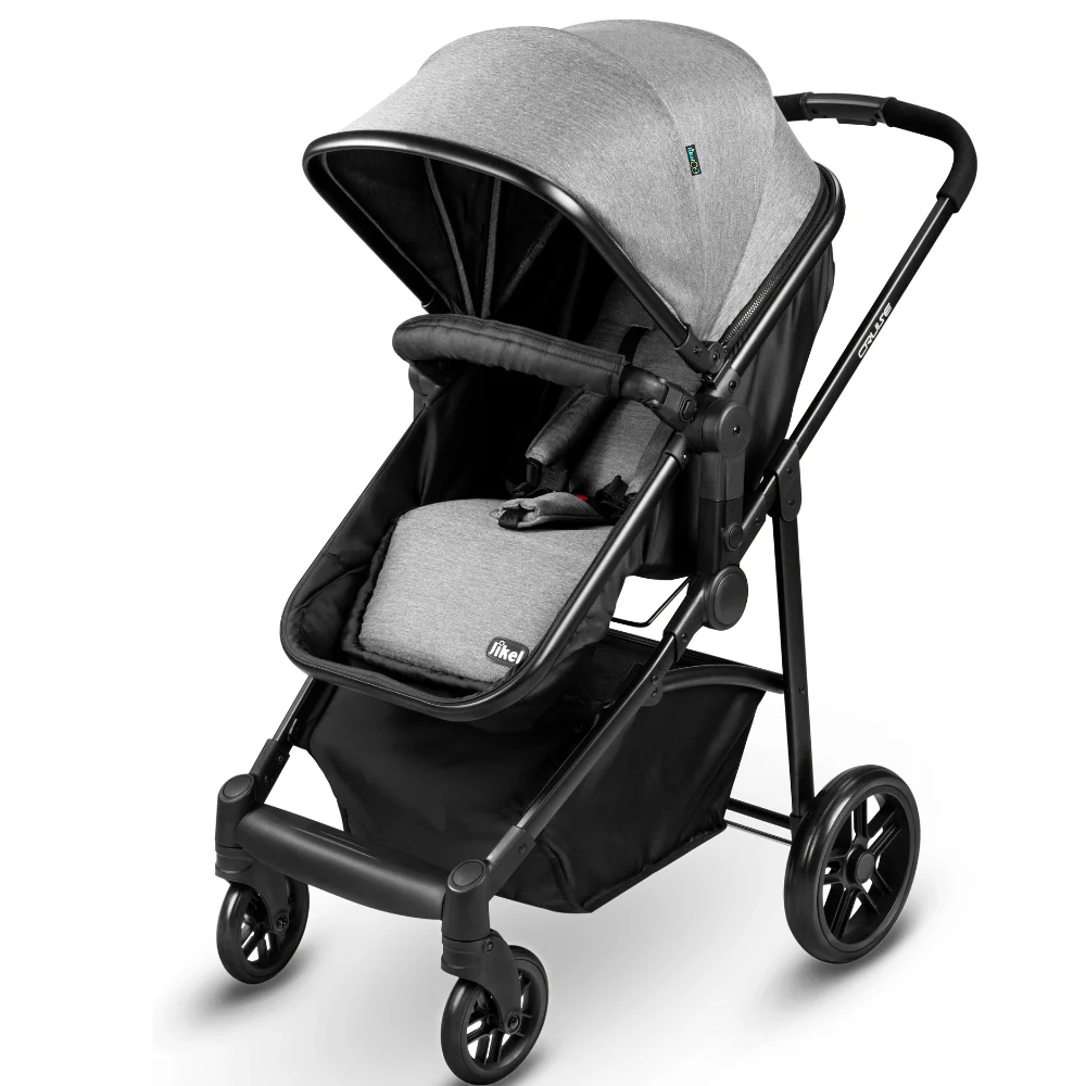 Cruise Travel System