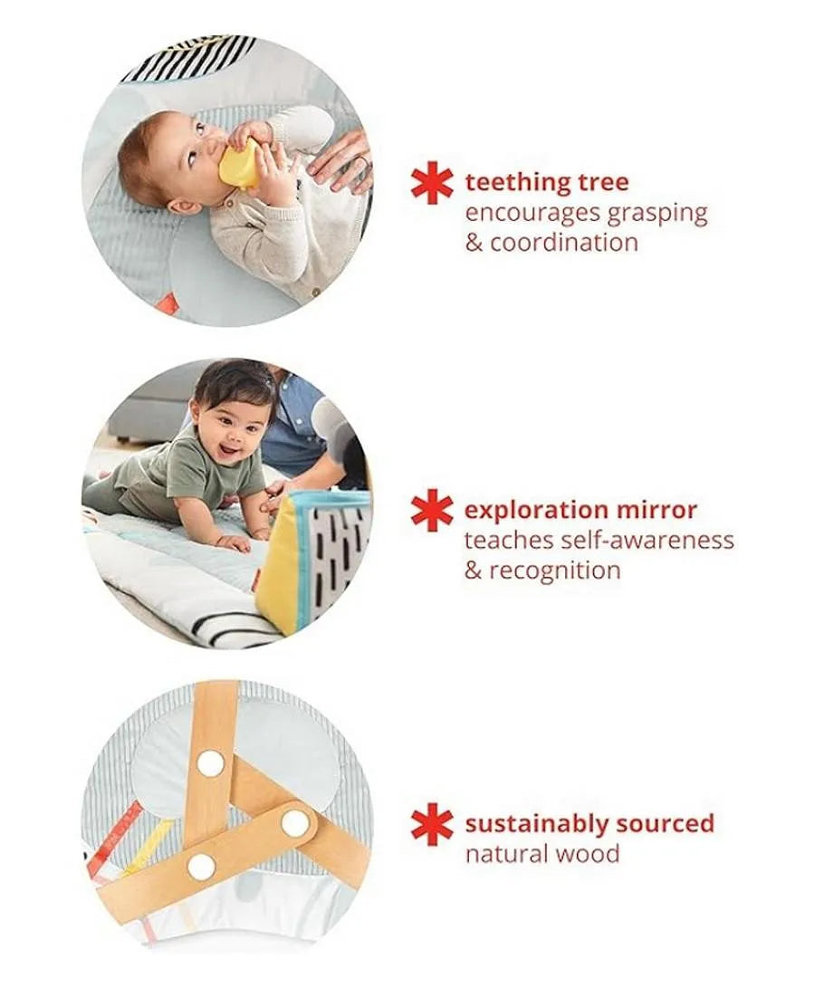 SKIP HOP - Discoverosity Montessori Inspired Play Gym, Multicolor